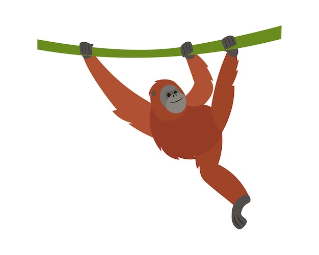 Vector orangutan hanging on a tree vector illustration in flat style