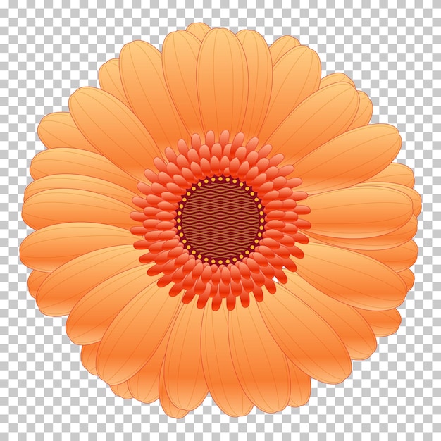 oranje bloem