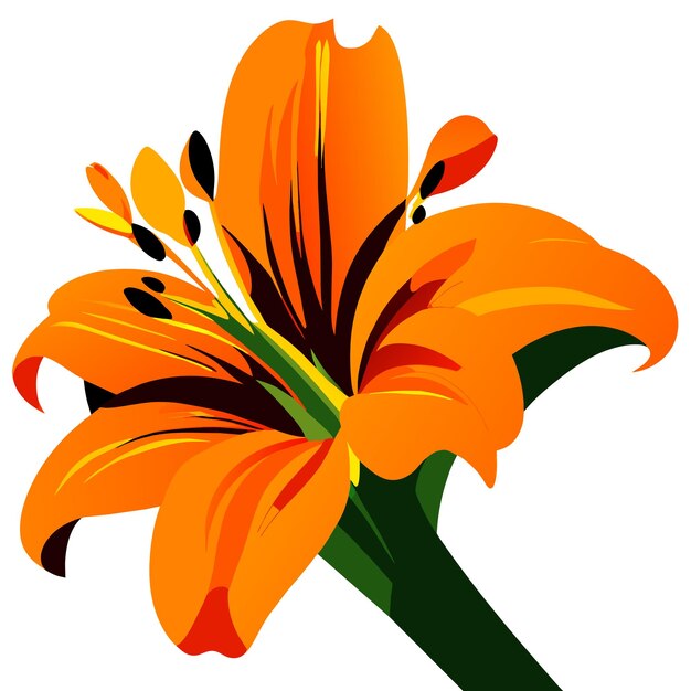 Vector oranje bolvormige leliebloem