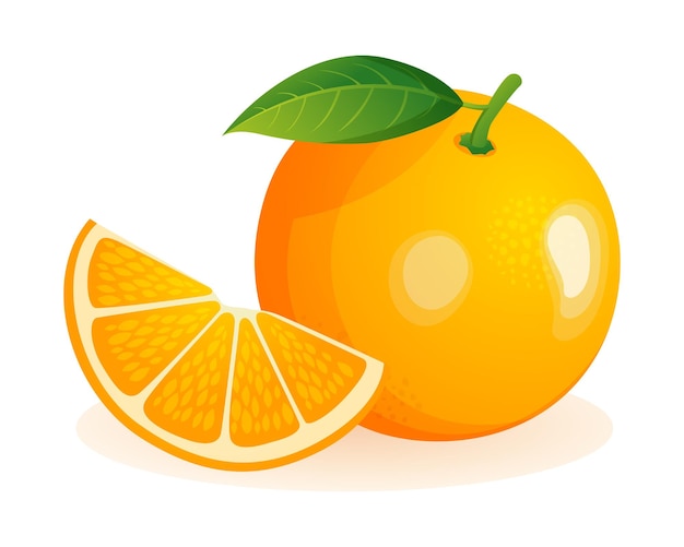 Oranje fruit geheel en gesneden gesneden vectorillustratie geïsoleerd op een witte achtergrond