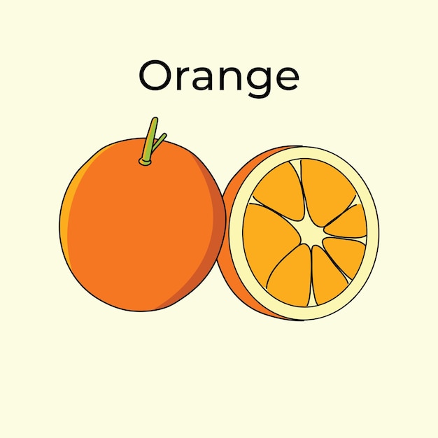 Vector oranje fruit illustratie vector