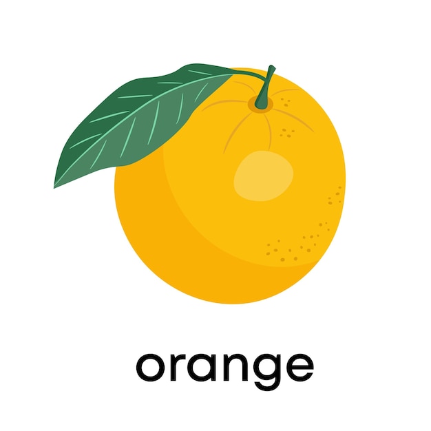 Oranje fruit met blad en plak Vectorillustratie