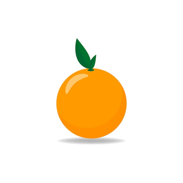 Oranje fruit met blad en plak Vectorillustratie