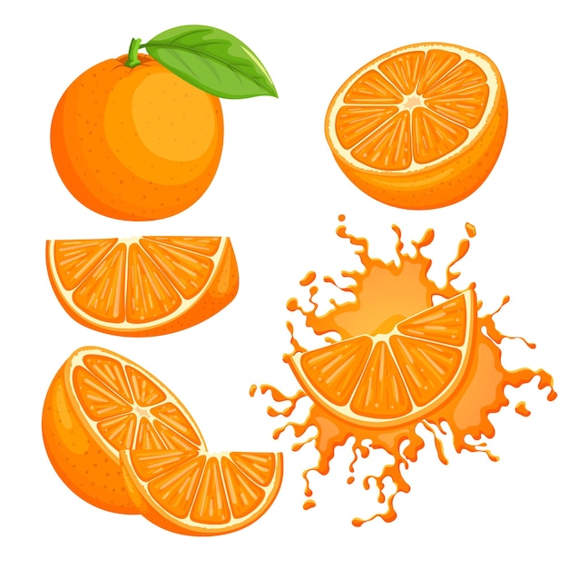 Oranje fruit set cartoon vectorillustratie