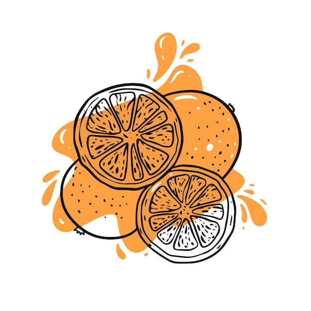 Oranje fruit tekening in lijn kunst stijl oranje en zwarte kleuren vector voedsel illustratie