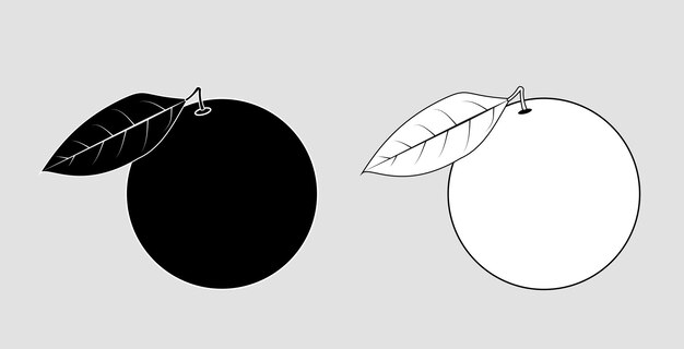 Oranje fruit vectorbasis