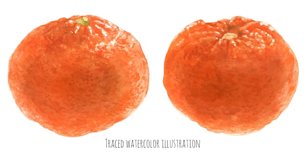 Oranje fruitmandarine