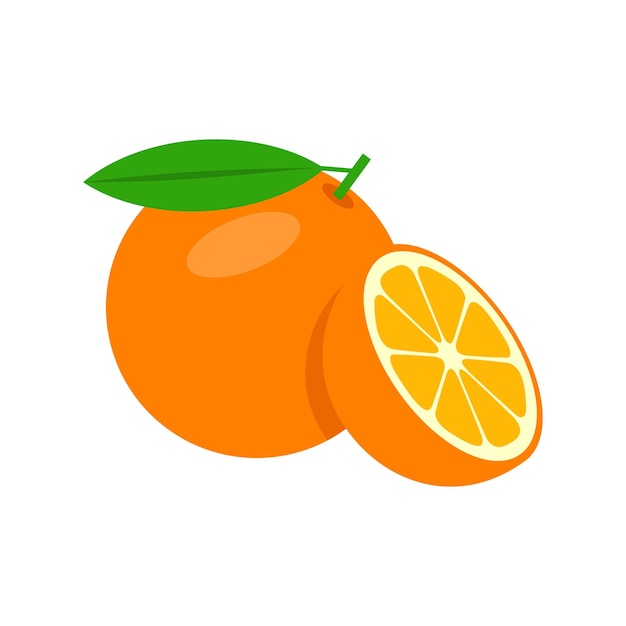 Oranje hele en halve vector illustratie geïsoleerd op een witte achtergrond