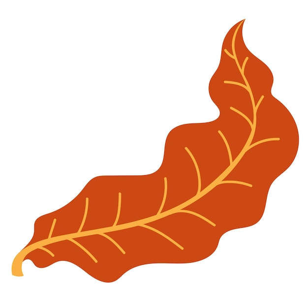 Oranje herfstbladeren vectorillustratie. Herfst Halloween frame met bladeren, grafisch pictogram of print geïsoleerd op een witte achtergrond