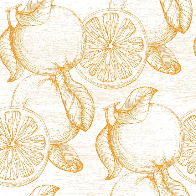Vector oranje naadloos patroon met de hand getekend fruit achtergrond gegraveerde stijl vintage citrus illustratie