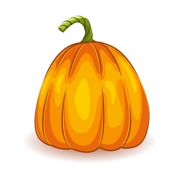 Oranje pompoen. Groente. Het belangrijkste symbool van de feestdag is Halloween. Vectorillustratie geïsoleerd op een witte achtergrond.