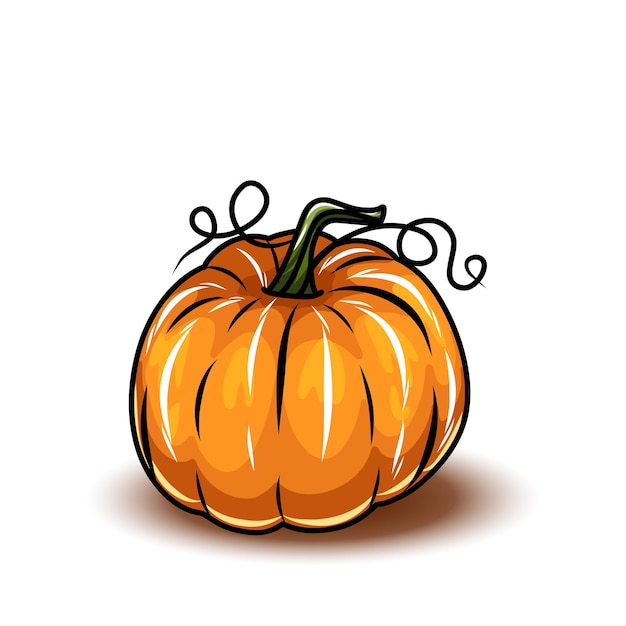Oranje pompoen verschillende soorten Cartoon pompoenen halloween herfst oogst kalebassen Pompoenen squash en bladeren vector symbolen illustraties herfst thanksgiving en halloween pompoenen