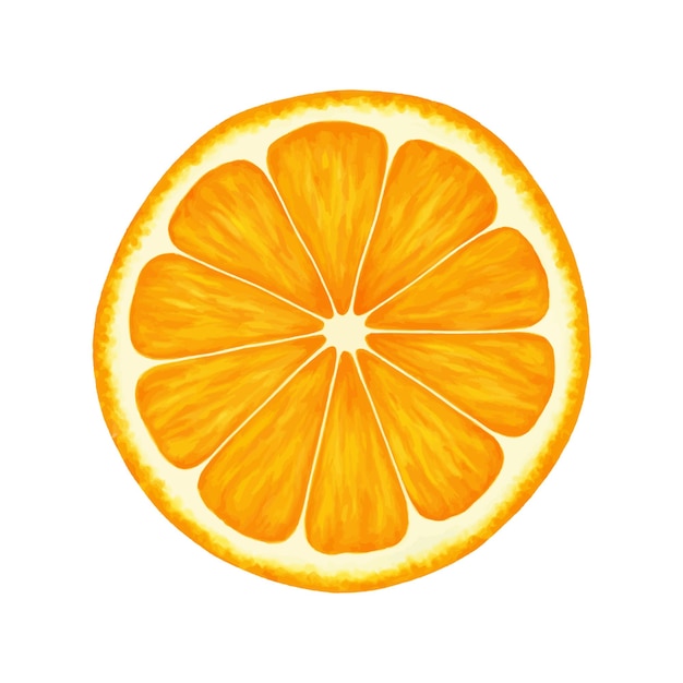 Oranje ronde plak realistische vectorillustratie geïsoleerd op een witte achtergrond Oranje eps pictogram illustraties