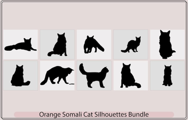 Oranje Somalische kattensilhouetOranje Somalische kattensilhouetbundelOranje Somalische kattenillustratie