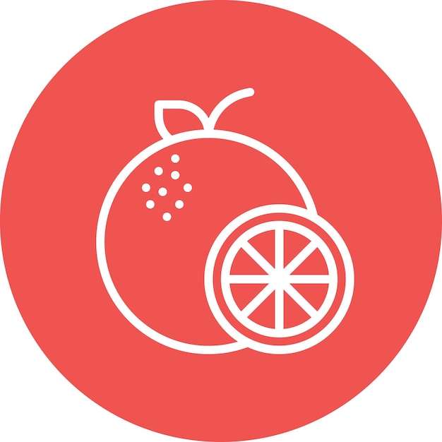 Oranje vector icoon illustratie van fruit en groenten icoon set