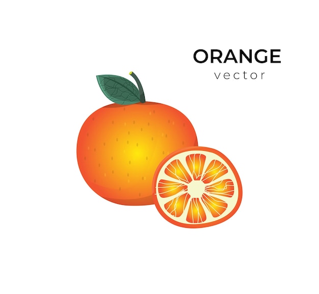 Oranje vector ontwerp