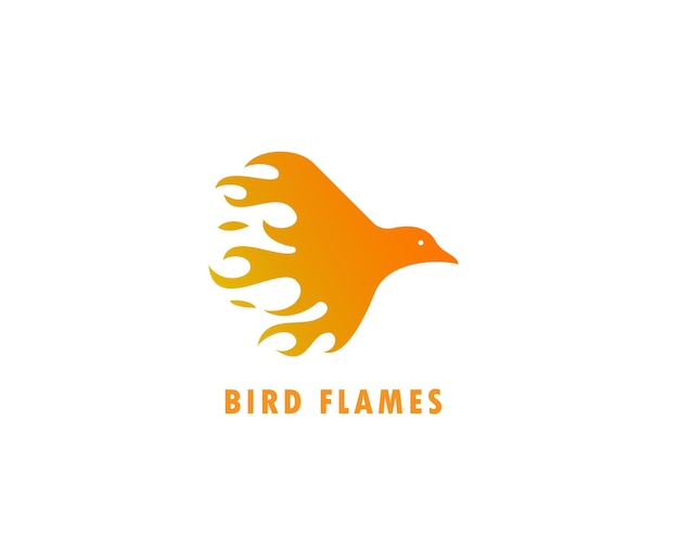 Oranje vogellogo met de titel vogelvlammen.