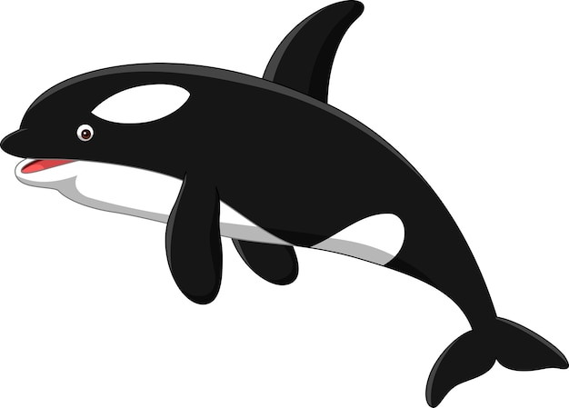 Orca cartoon geïsoleerd op witte achtergrond