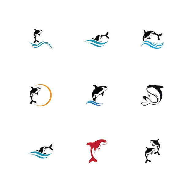 Orca Logo Vector Illustration On Trendy Design