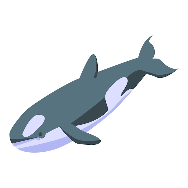 Vector orca whale icon isometric of orca whale vector icon for web design isolated on white background