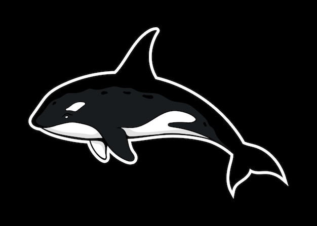 Vettore disegno dell'illustrazione della balena dell'orca