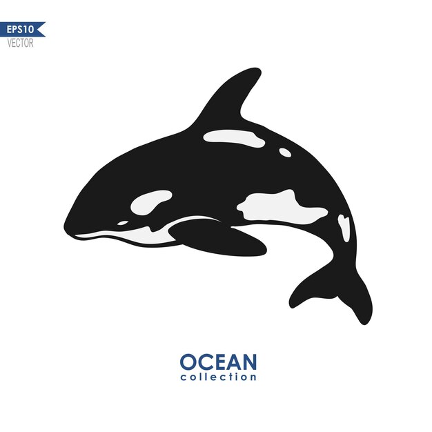 Orca balena isolata su bianco illustrazione vettoriale di una balena