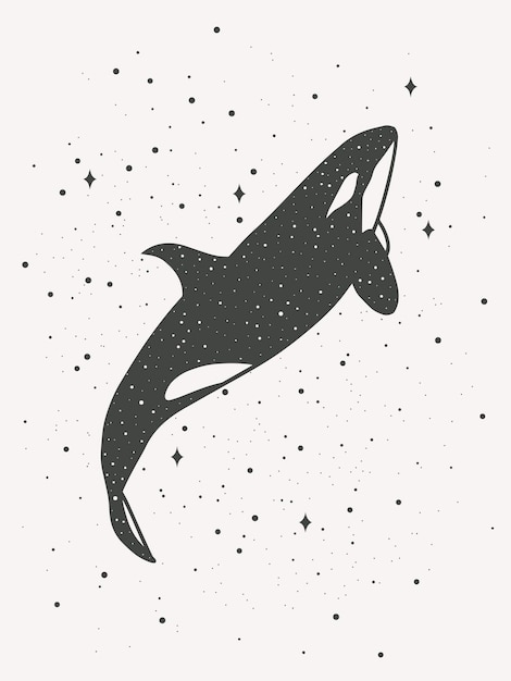 Orca with stars, magical art