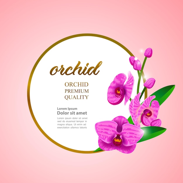 Vector orchid design concept illustration