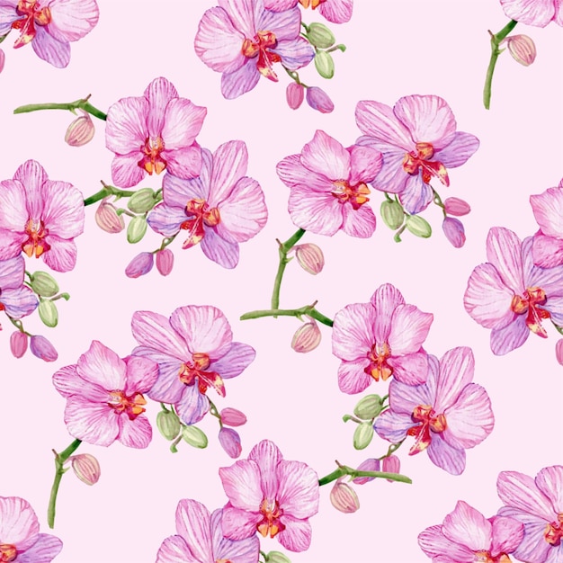 Orchid flower background painted in watercolor