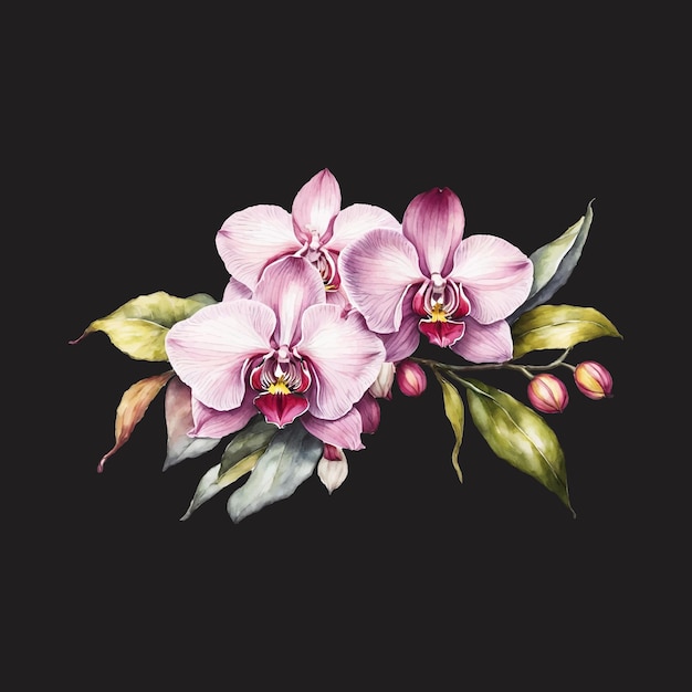 Orchid flower blooming watercolor illustration