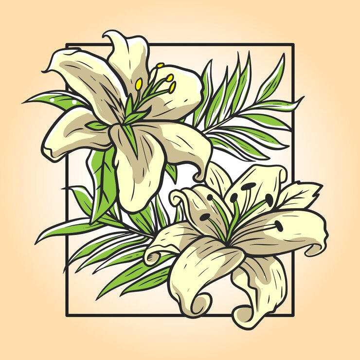 Orchid flower illustration