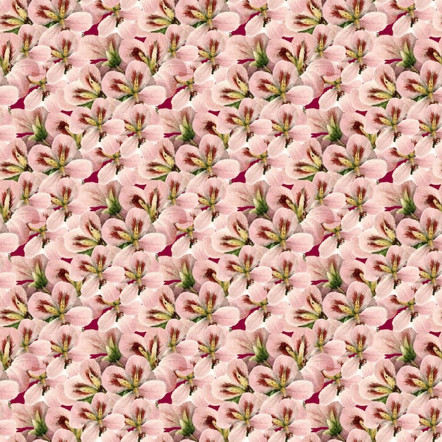 Orchid Flower Seamless Pattern Design with dark red background