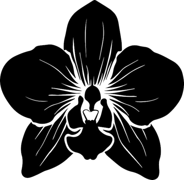 Orchid flower vector silhouette illustration