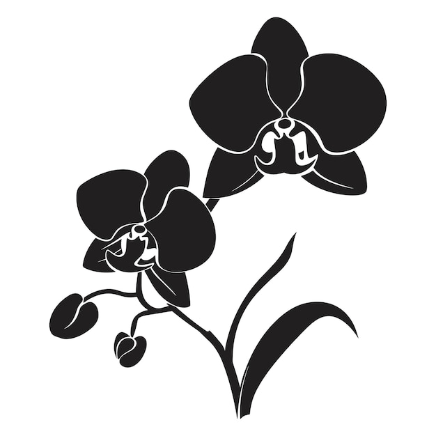 Vector an orchid flower vector silhouette isolated on a white background