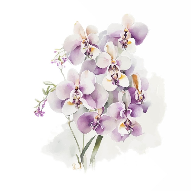 Vector orchid flower in watercolor vector