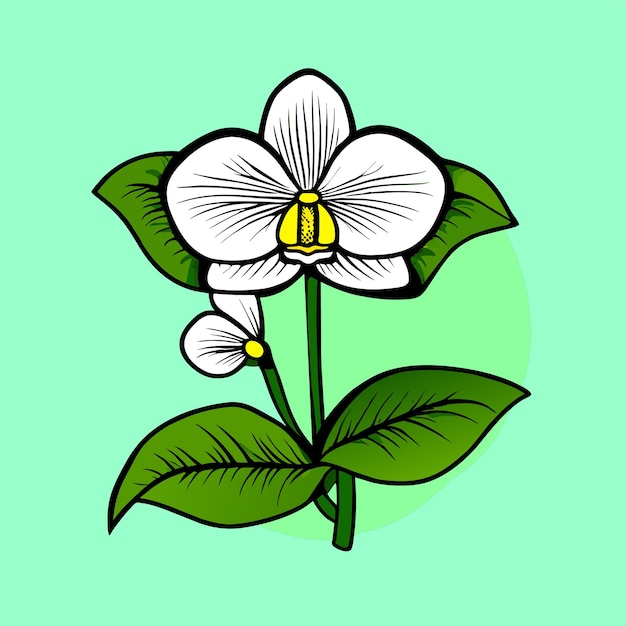 Vector orchid flower with green leaves