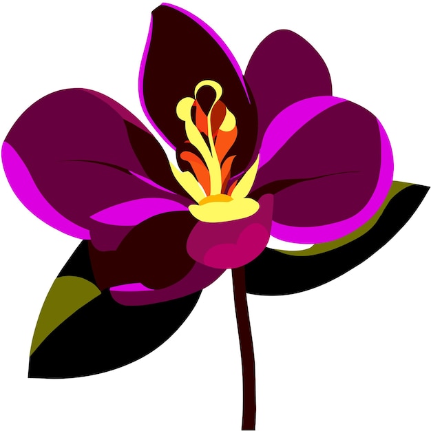 Vector orchid flower