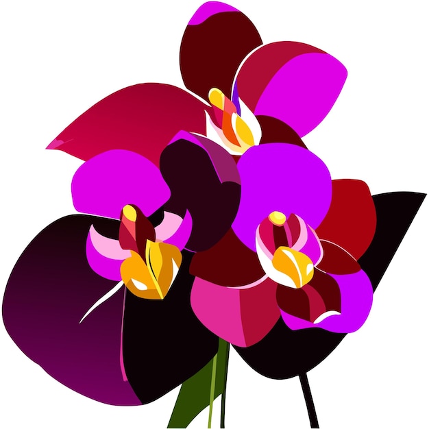 Vector orchid flower