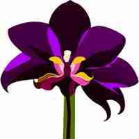 Vector orchid flower