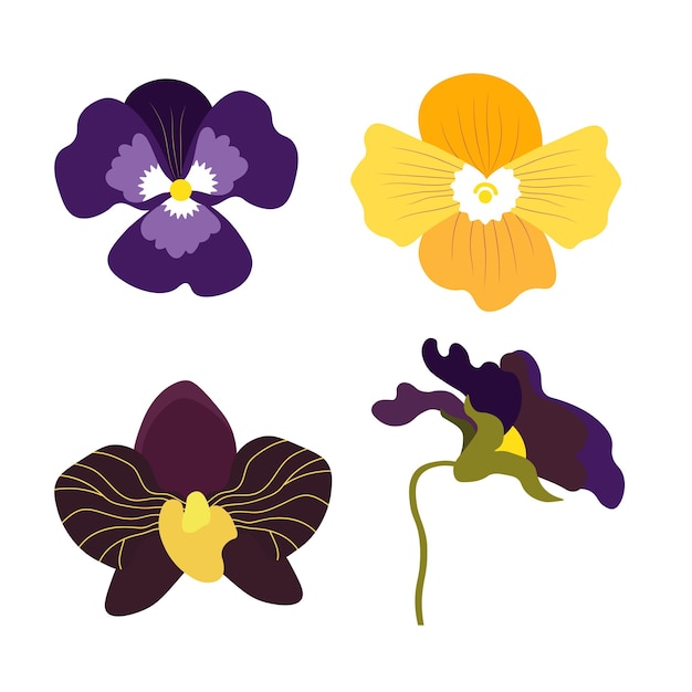 Vettore illustrazione di orchidee