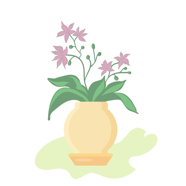 Vector orchid phalaenopsis houseplant, potted flower vector illustration