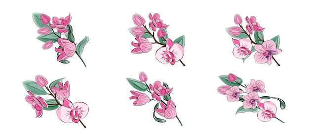 Vector orchid a twig with pink flowers and buds japanese traditional ink painting in the oriental style