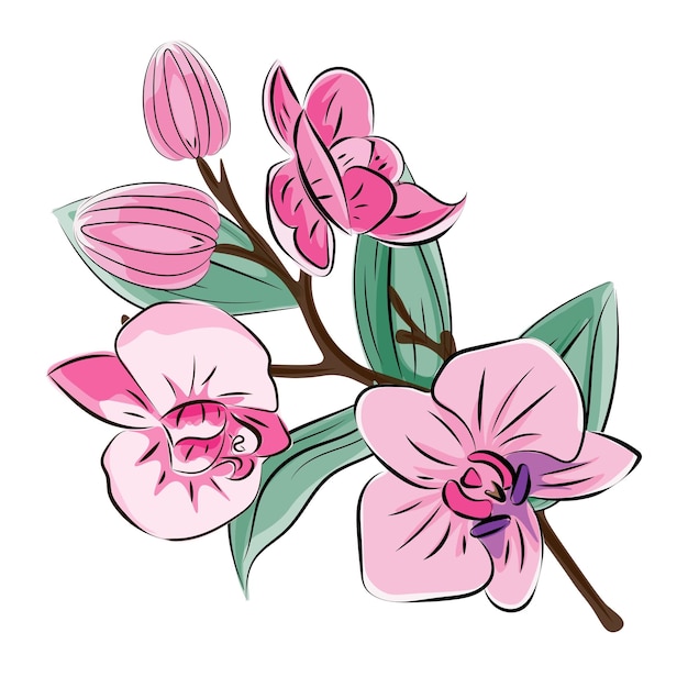 Vector orchid a twig with pink flowers and buds japanese traditional ink painting in the oriental style