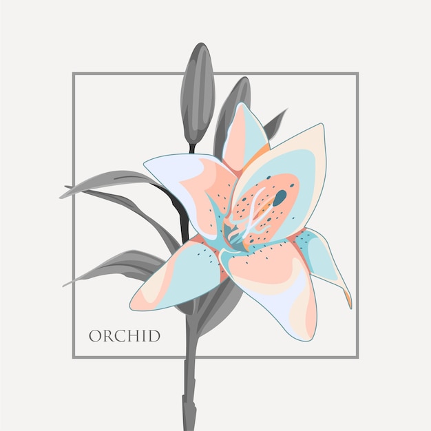 orchidee bloem illustratie