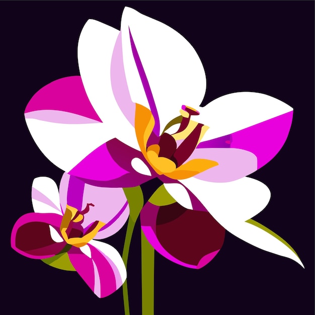 Vector orchidee bloem