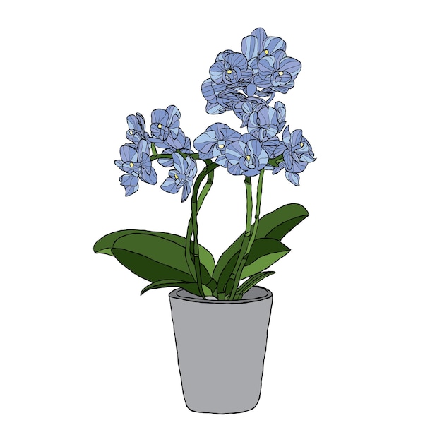 Orchideebloem vectorillustratie met handtekeningstijl