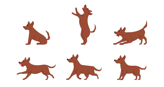 Vector ordinary mongrel dog various poses flat line graphic isolated