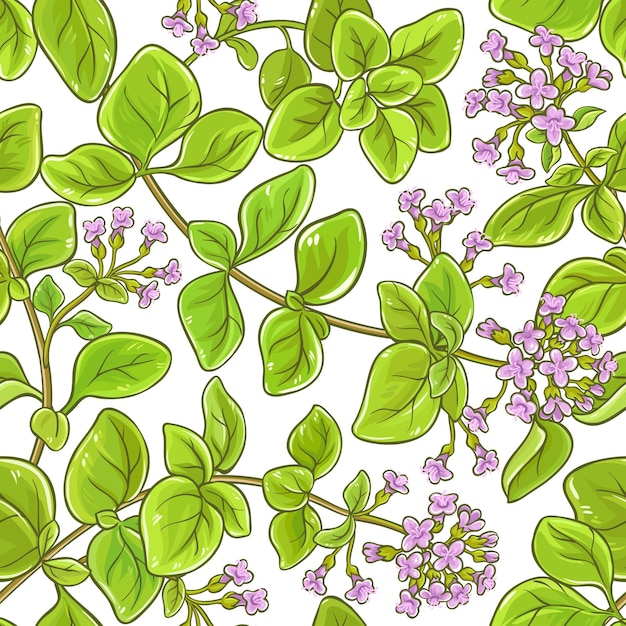 Oregano branch vector pattern