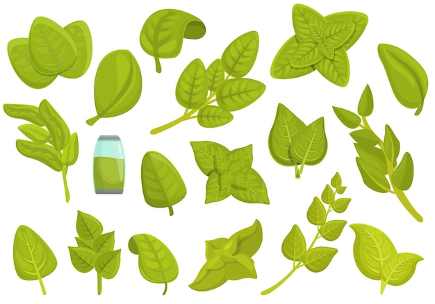 Oregano icons set cartoon vector. aroma herb