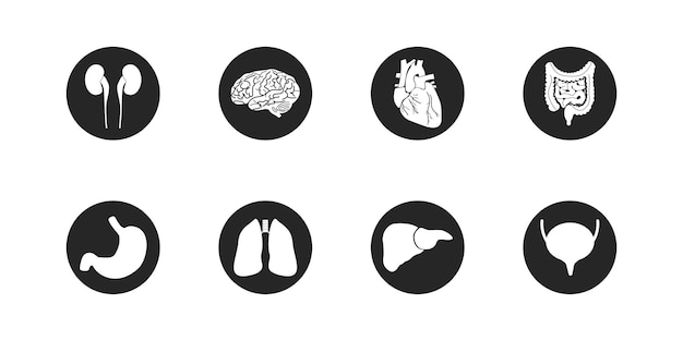 臓器アイコンセット人間の臓器医学の概念フラットベクトルイラスト